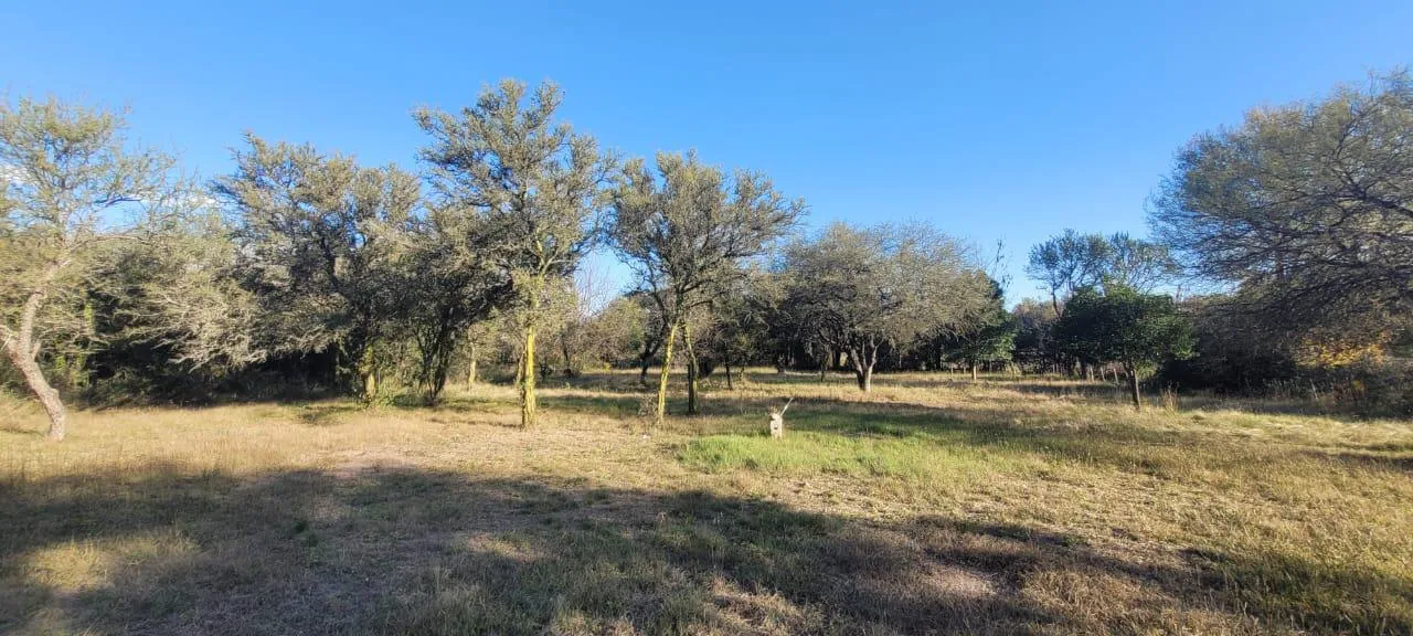 Terreno en venta en Las Calles