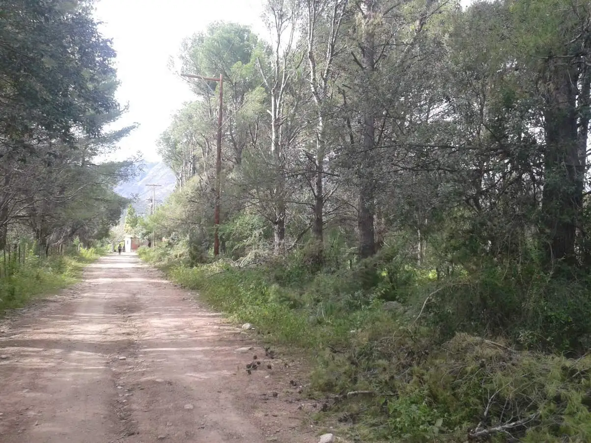 Terrenos en venta en Las Rabonas
