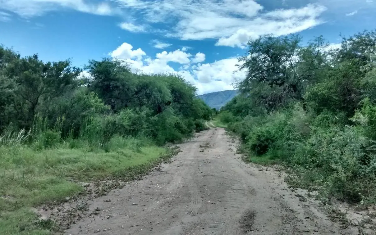 Terreno en venta en Las Rabonas