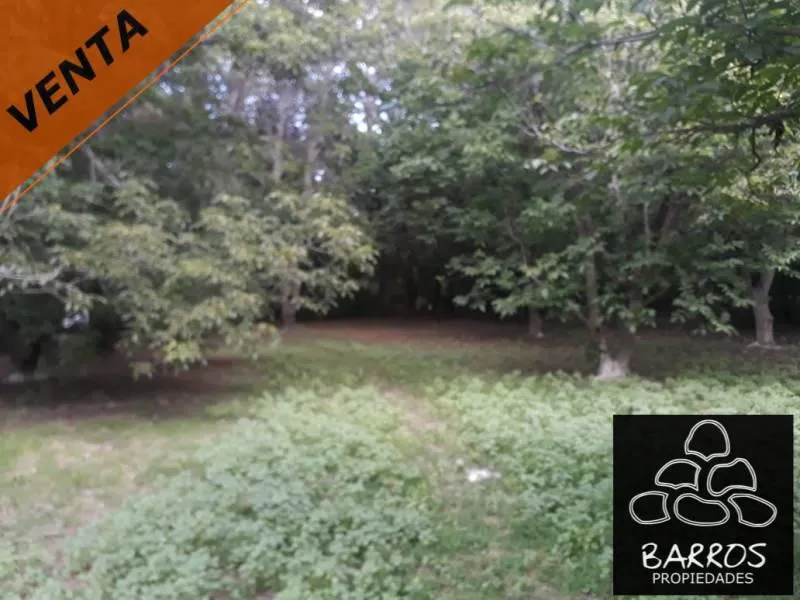 Terreno en venta en Las Rabonas