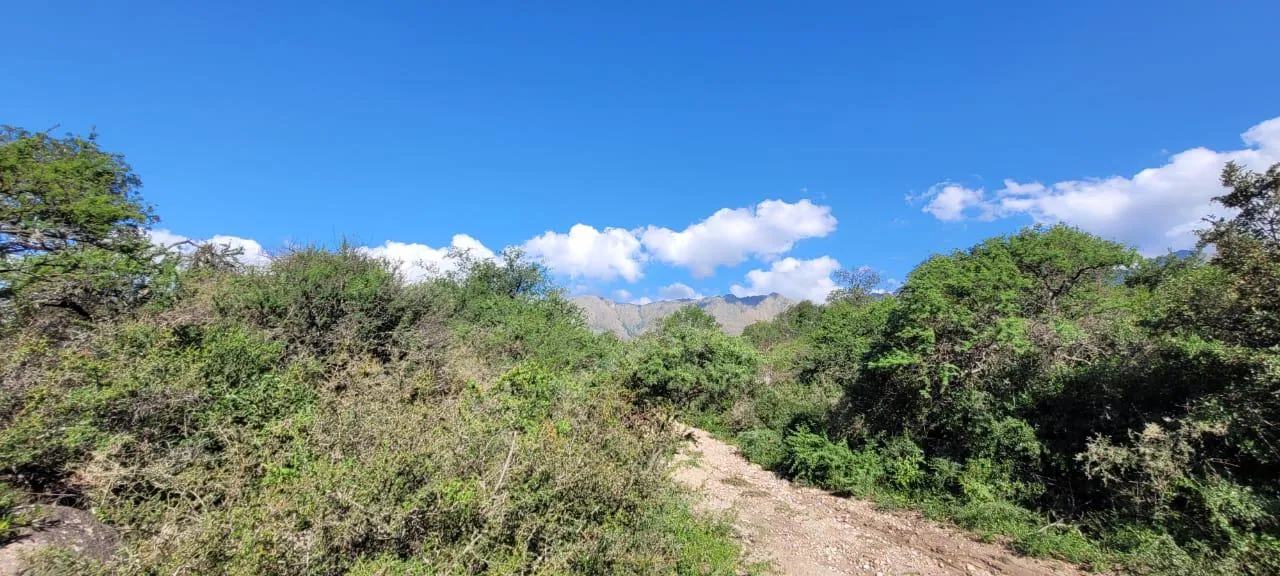 Terreno en ventas en Las RAbonas