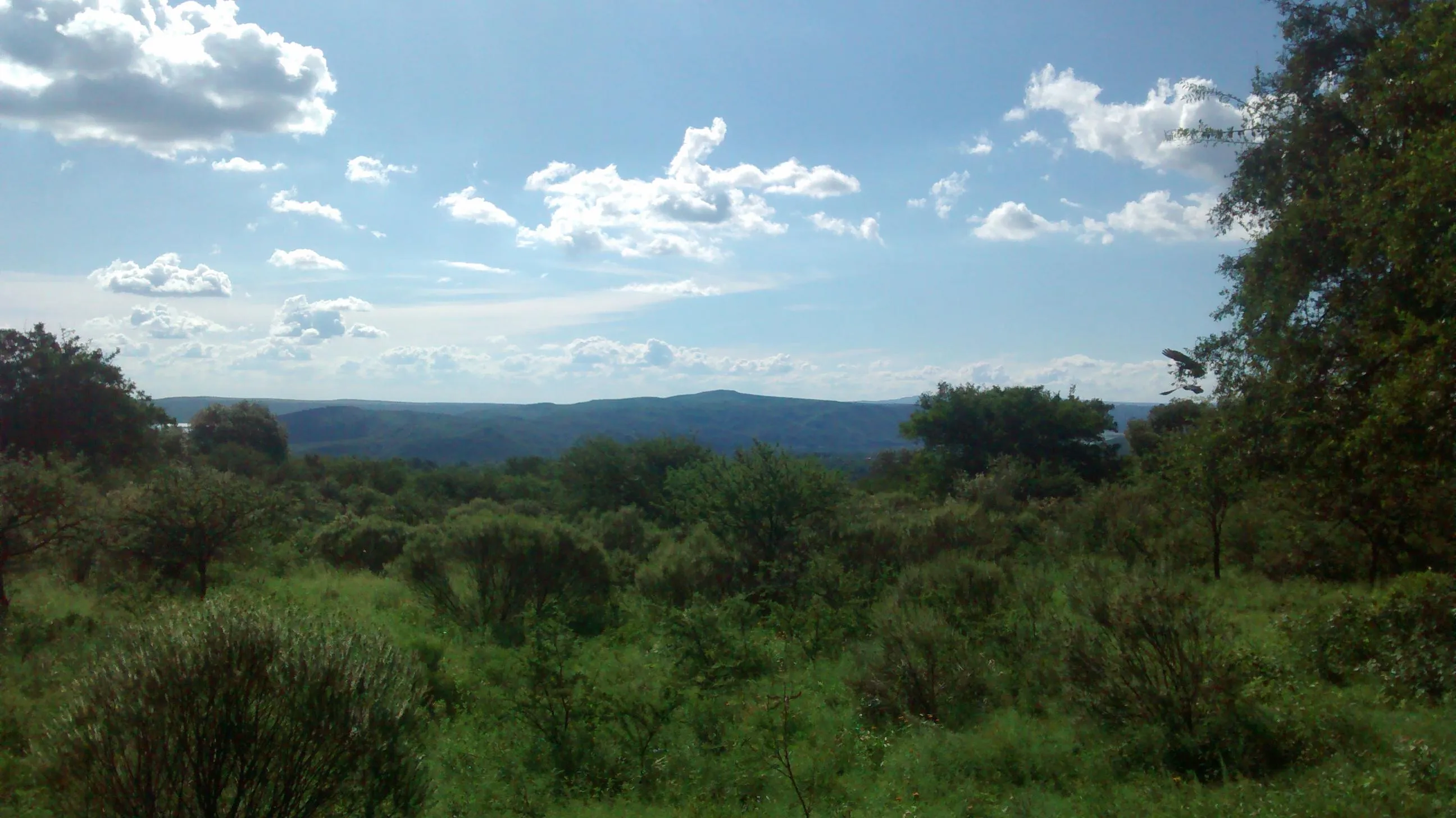 Terrenos en venta en Las Rabonas