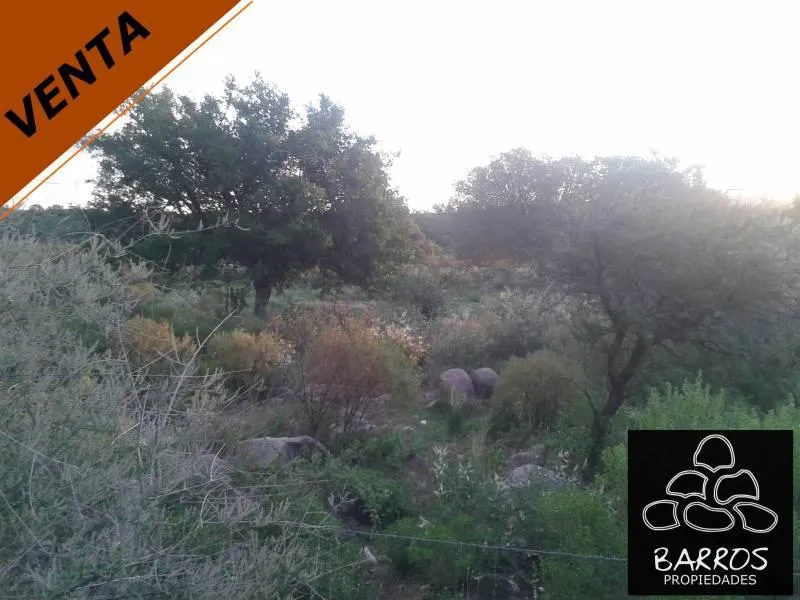 Terrenos en venta en Las Rabonas