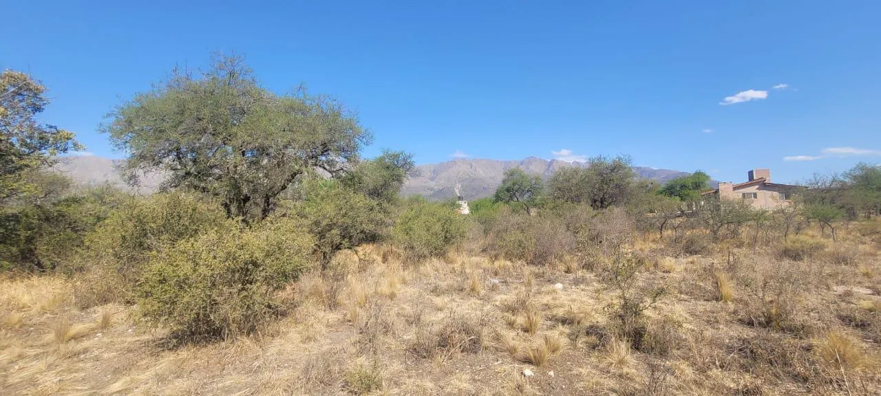 Terreno en venta en Las Rabonas
