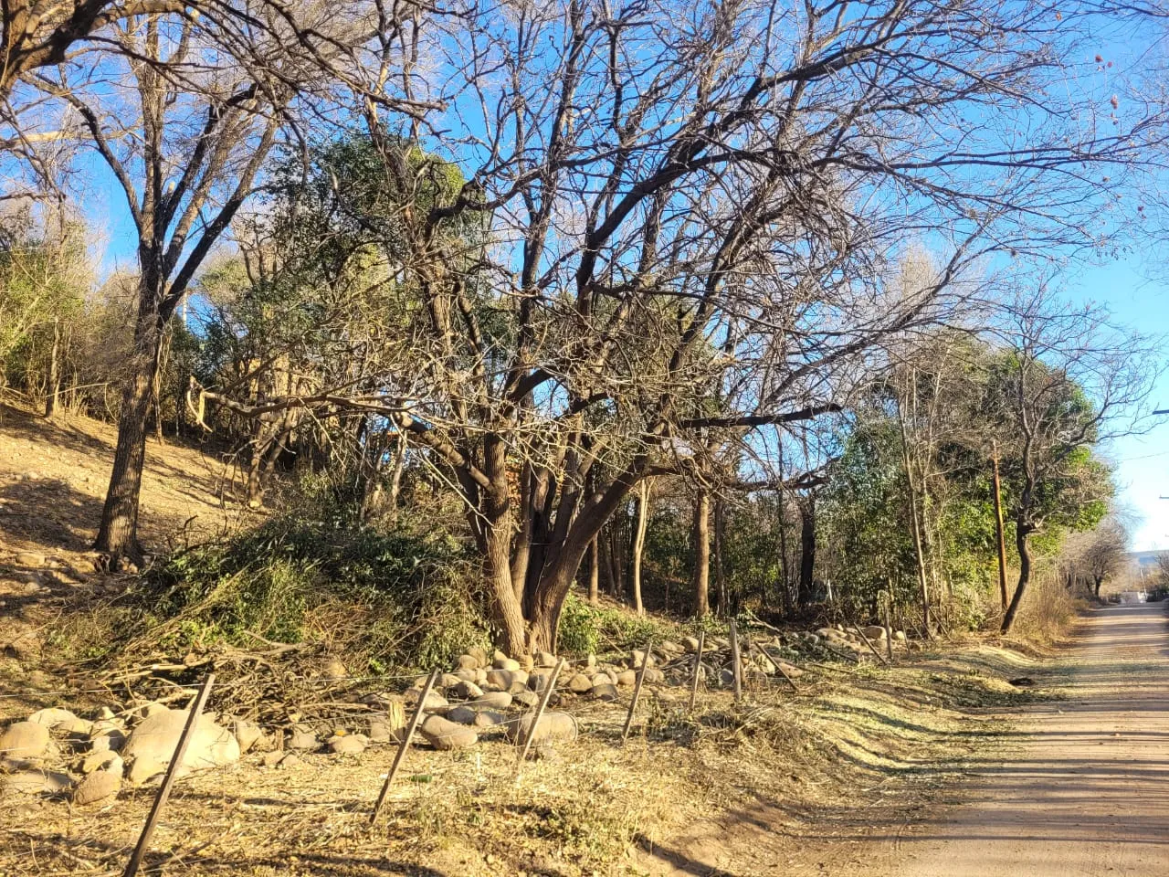 Terreno en venta en Nono