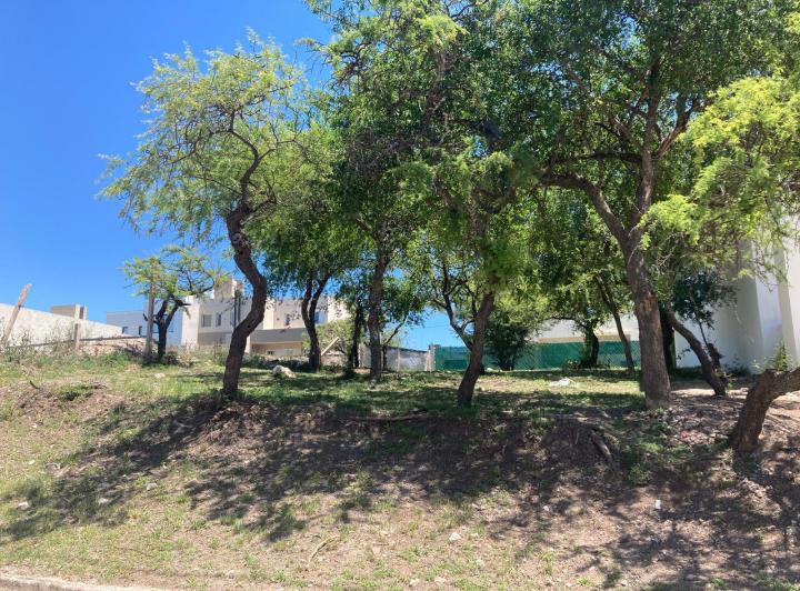 Terreno · 350m²
