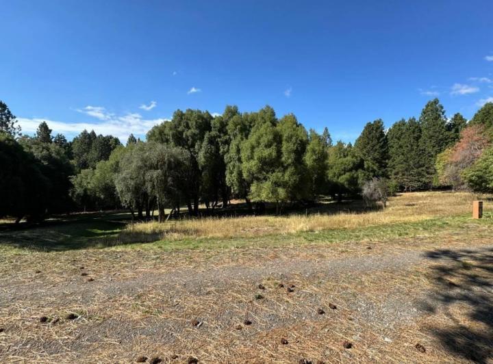 Terreno · 1167m²