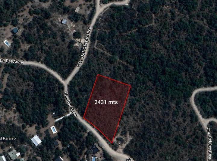 Terreno · 2431m²