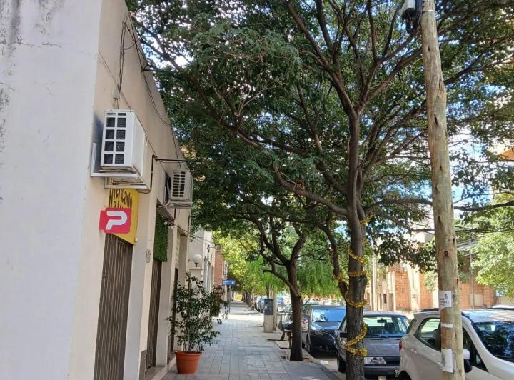 Local comercial · 46m² · 1 Ambiente