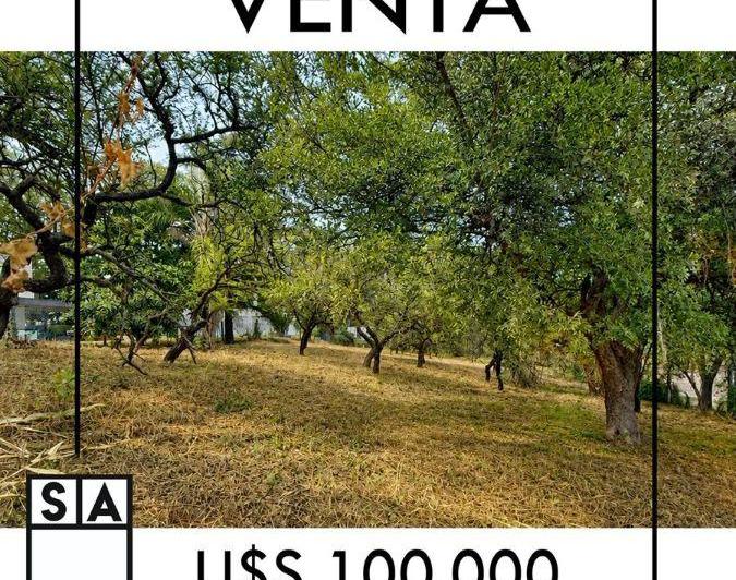 Terreno · 1m²