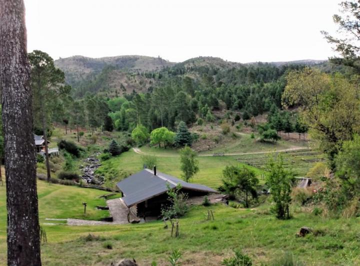 Campo · 10000000ha
