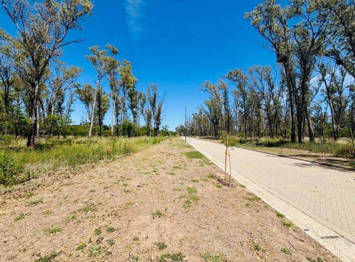 Terreno · 380m²