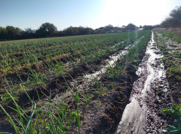 Campo · 200000m²