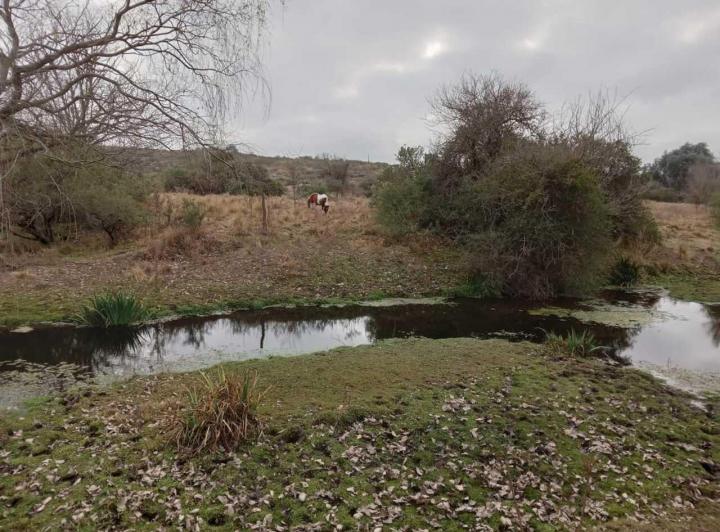 Terreno · 330000m²