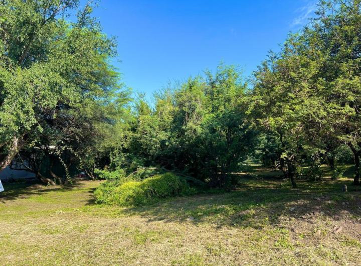 Terreno · 1200m²