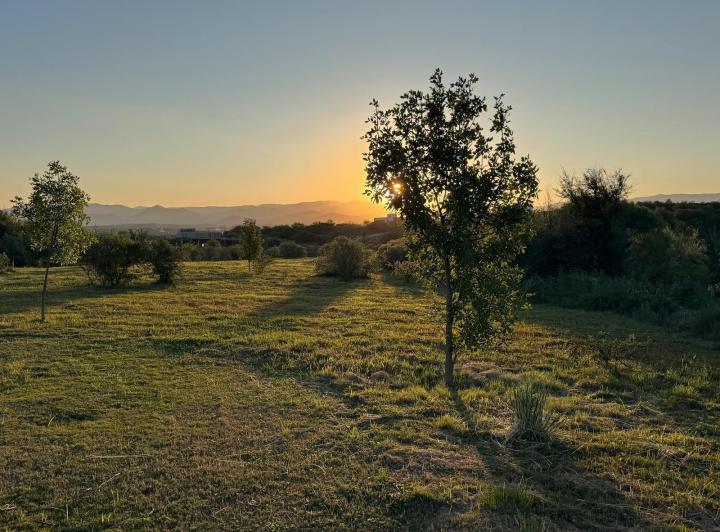 Terreno · 1592m²