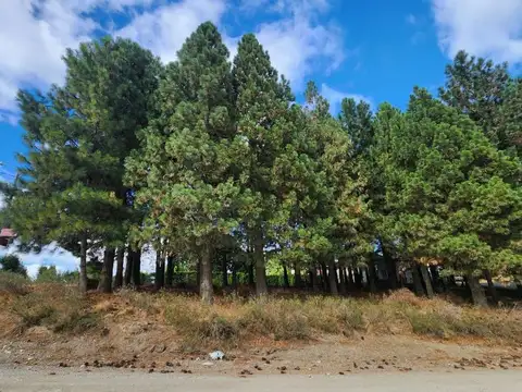 Terreno en Venta en Dina Huapi, Pilcaniyeu