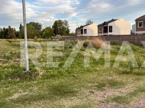 Terreno en Venta en Plottier, Confluencia