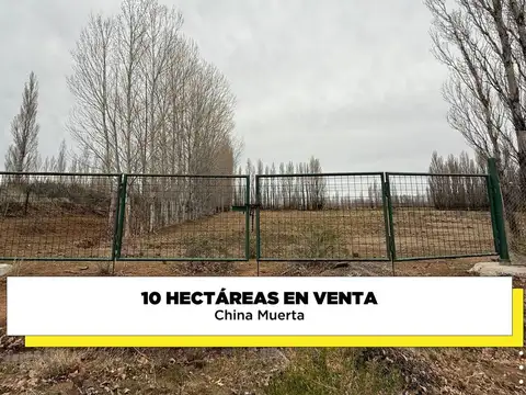 Campo en Venta en Plottier, Confluencia