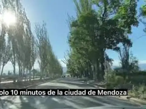 Terreno en Venta en Lujan de Cuyo, Luján de Cuyo