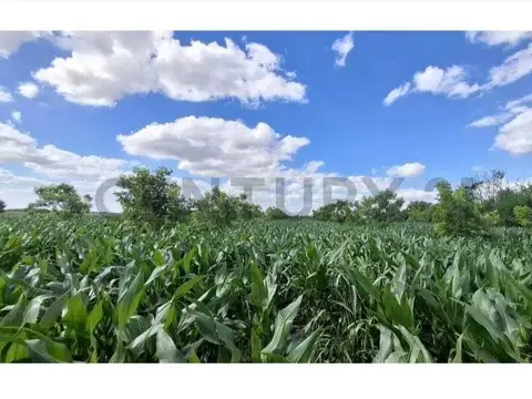 Campo en Venta en Esperanza, Las Colonias