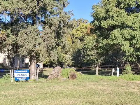 Terreno en Venta en Villa la Ribera, Iriondo
