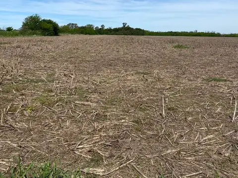 Campo en Venta en Pergamino, Partido de Pergamino