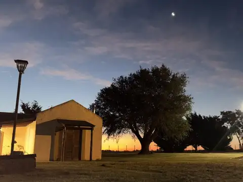 Campo en Venta en Alfa, Partido de Guaminí