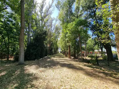 Campo en Venta en Villa Ruiz, Partido de San Andrés de Giles