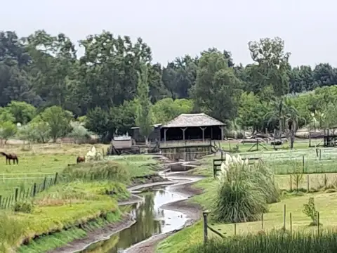 Quinta en Alquiler en Laguna de Lobos, Partido de Lobos