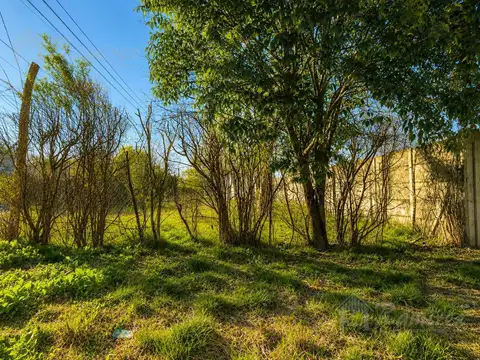 Terreno en Venta en Francisco Alvarez, Partido de Moreno