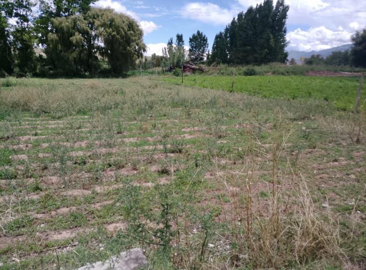 Terreno · 6109m²