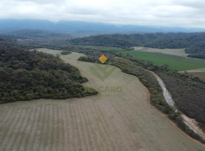 Campo · 54000000ha