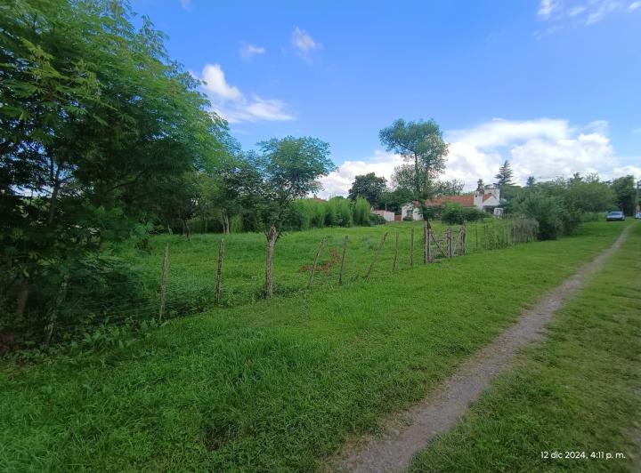 Terreno · 1000m²