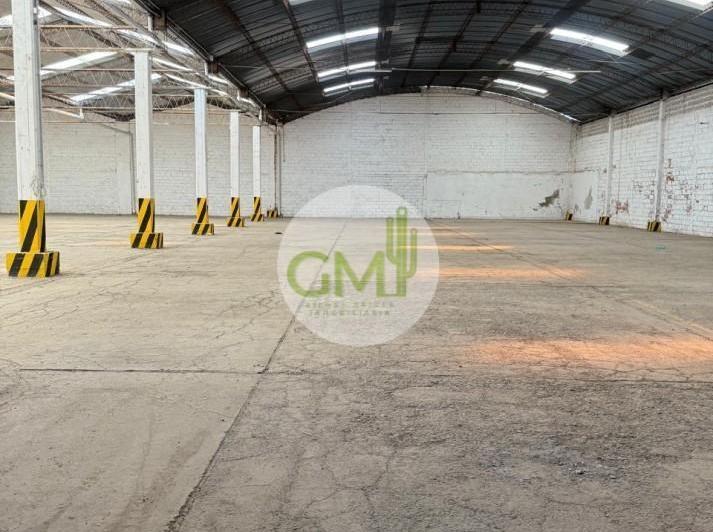 Bodega-Galpón · 1200m²