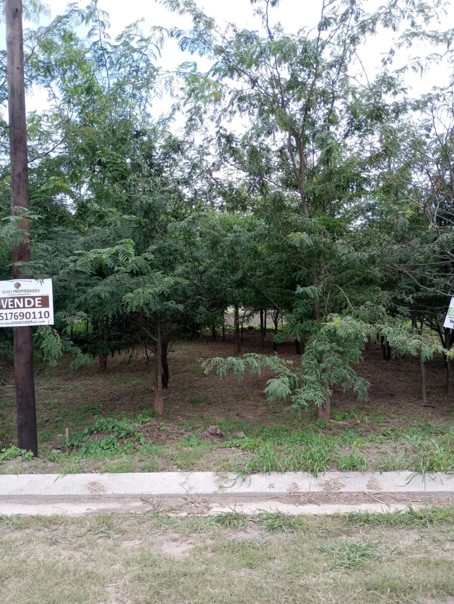 VENDO LOTE B° PROSSUR (UEPC)