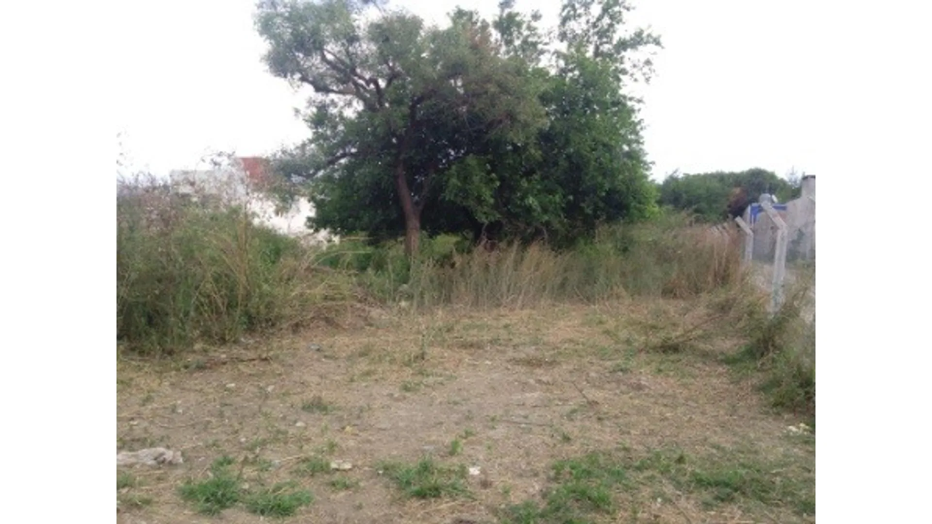 Exc Lote 1.000 m2 vta t/servic Las Zanjas y Aromos Vaqueros