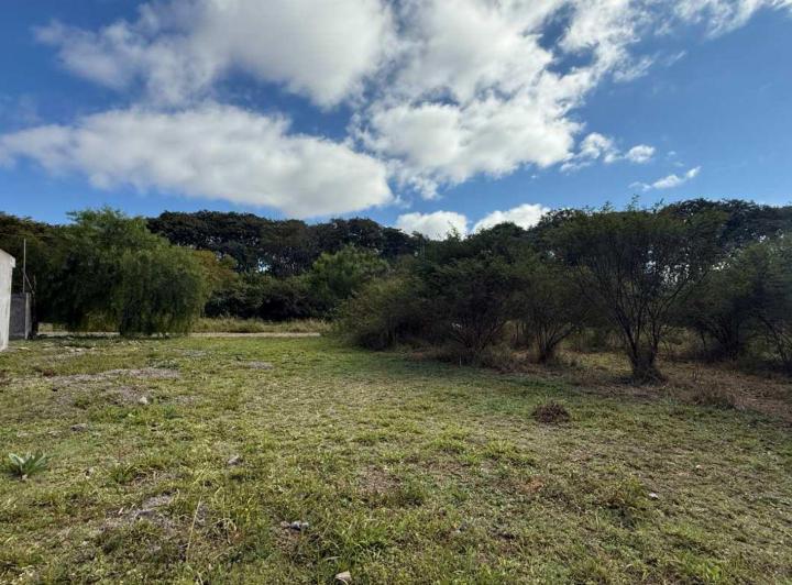 Terreno · 318m²