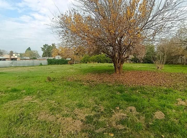 Terreno · 2000m²