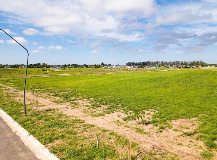Terreno · 367m²
