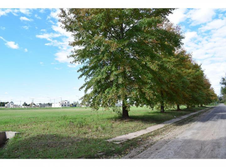 Terreno · 300m²
