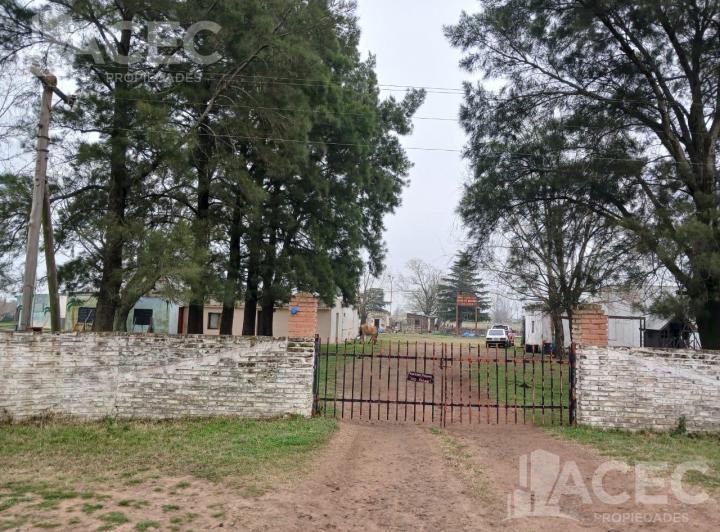 Campo · 5ha · 1 Ambiente