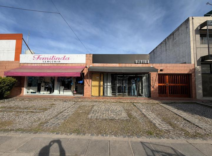 Casa · 230m² · 3 Dormitorios · 2 Cocheras