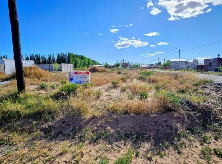 Terreno · 592m²