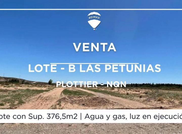 Terreno · 377m²