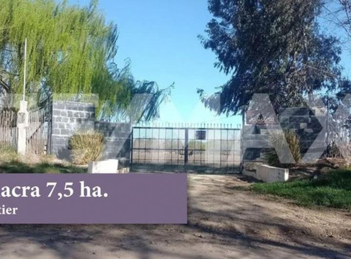Campo · 8ha