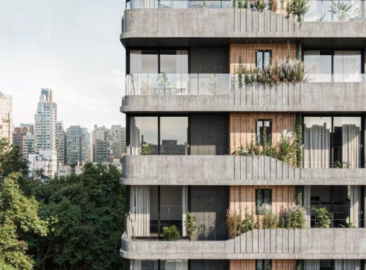 Desarrollo vertical