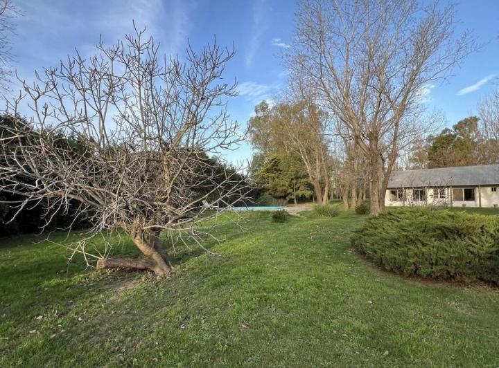 Casa · 2400m² · 1 Ambiente