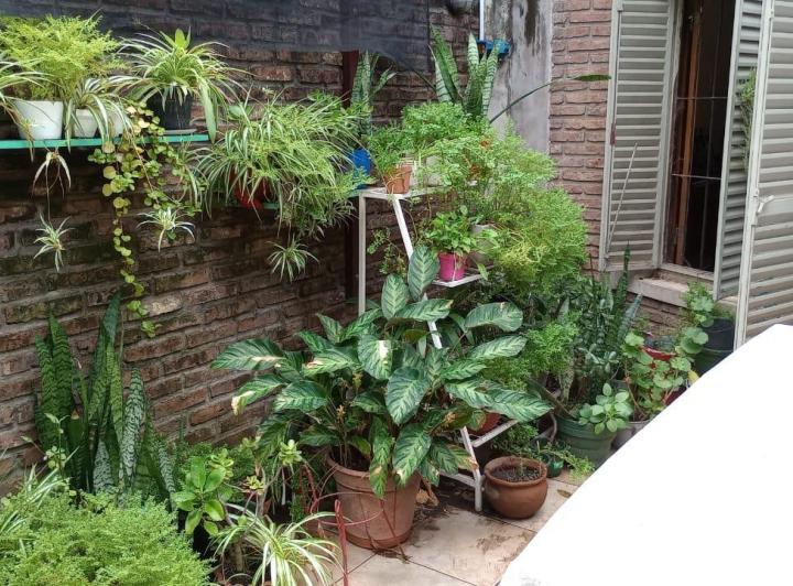Casa · 220m² · 7 Ambientes · 1 Cochera
