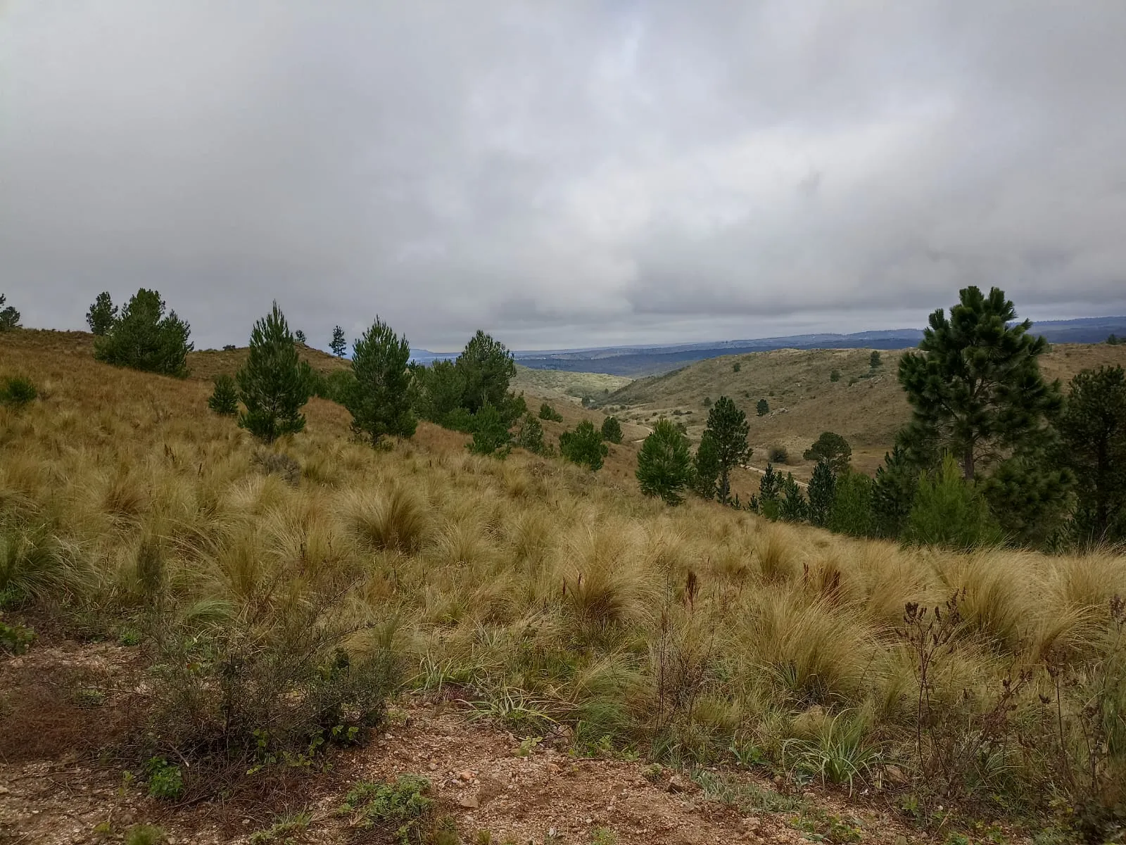 LOTES DE 5000 MTS CON FINANCIACION